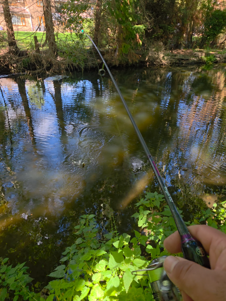 @BF Angler