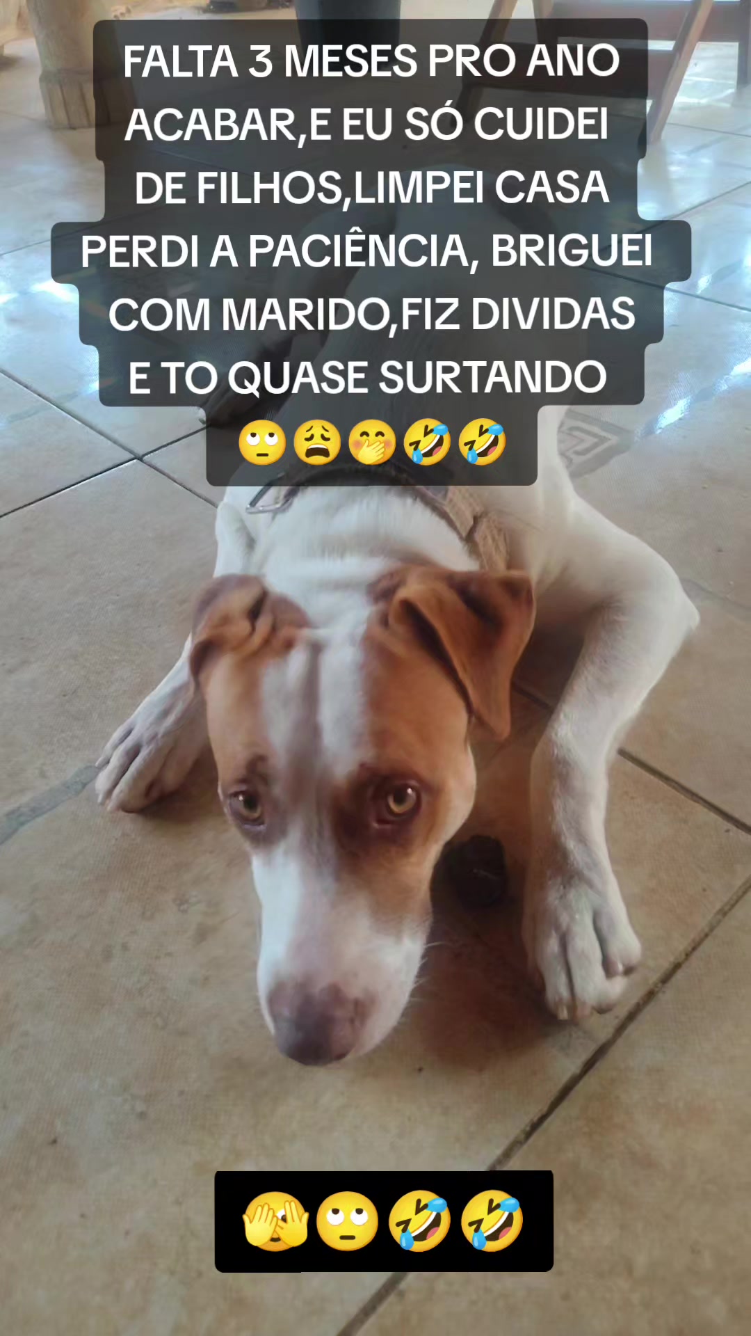 @Conte&uacute;do de valor🌹