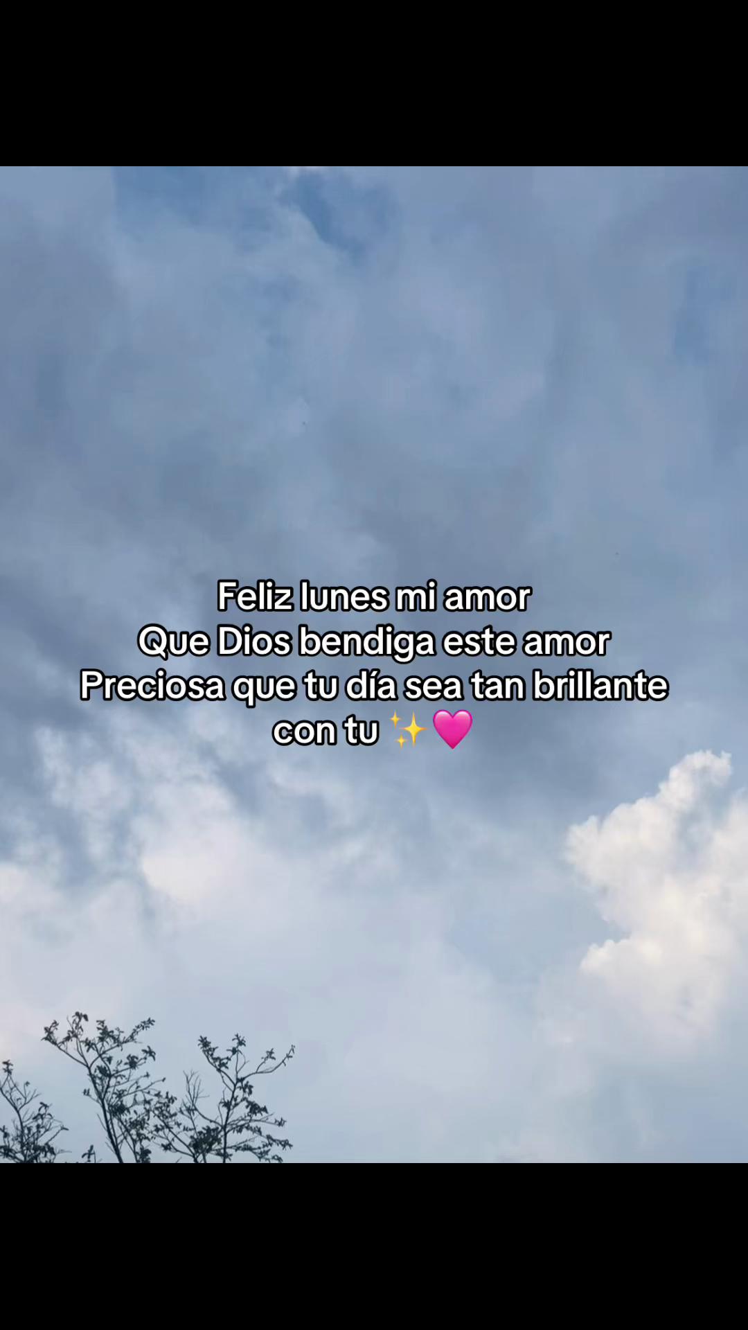 @💜🦄ᴇʟ ᴘᴇʟɪɢʀᴏꜱᴏ D Natalia🌻🐾