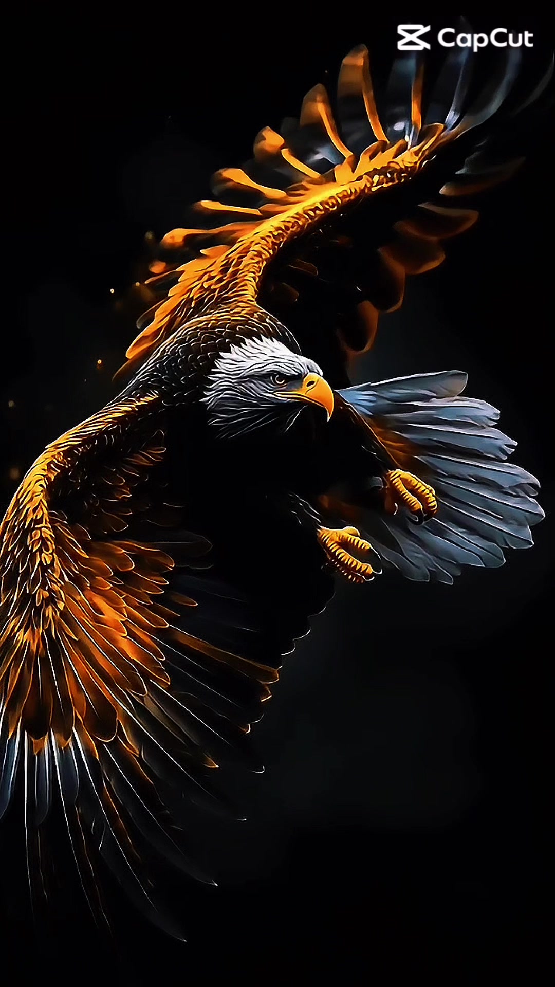 @â§đâŦīŖŋ đđđđ īŖŋâŦđâ§