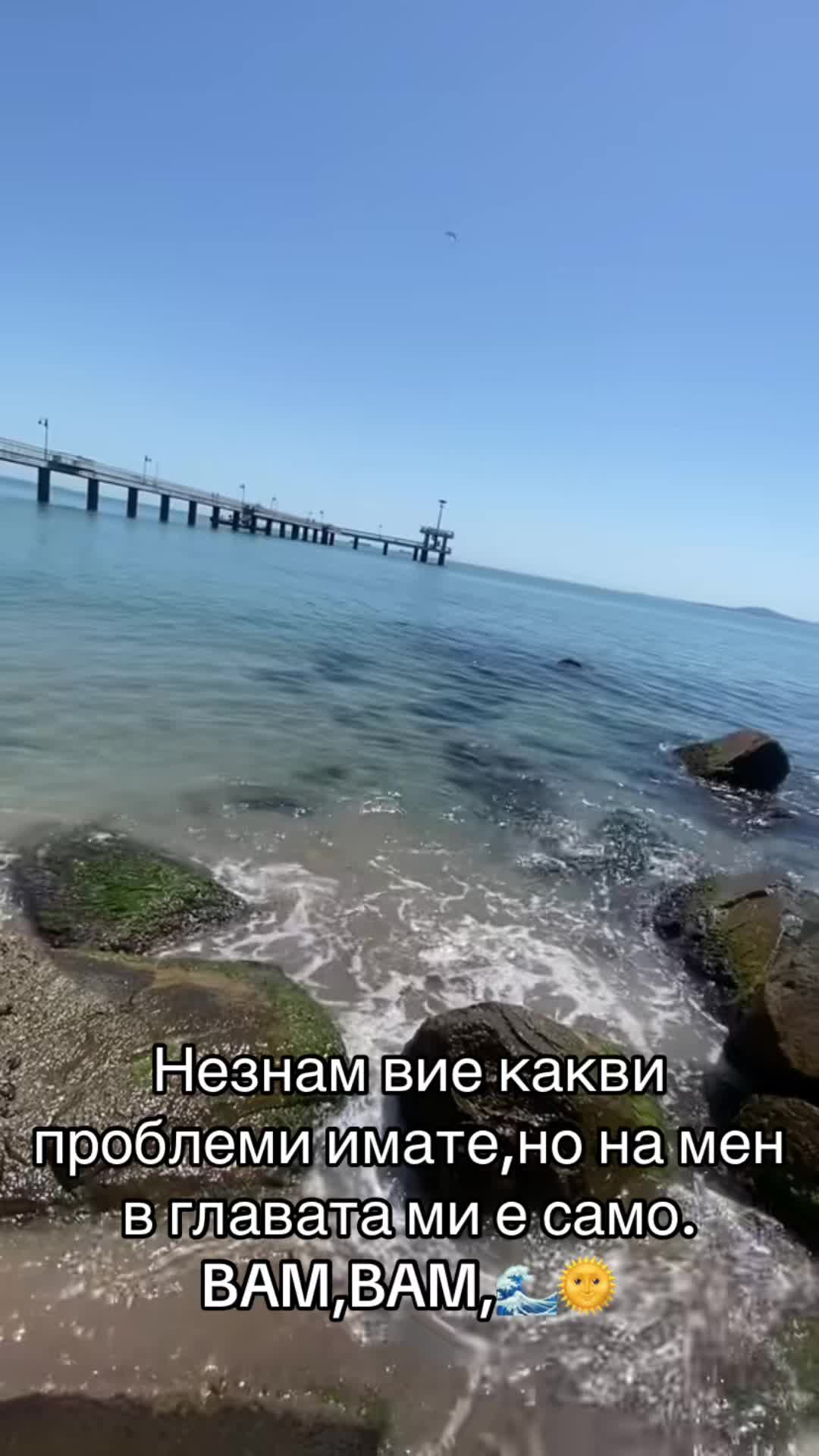 @~Şengül~