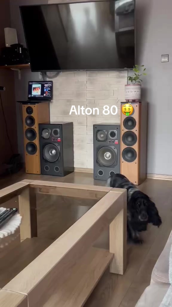 @AlicziTech