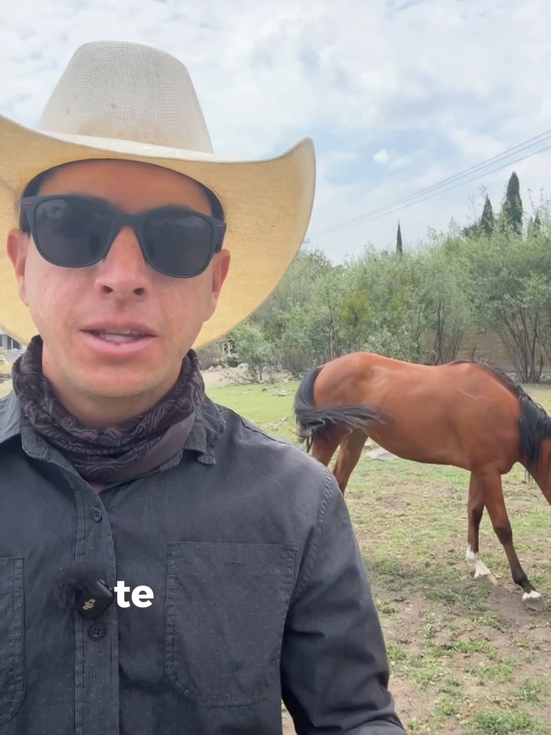 @Fotoranch