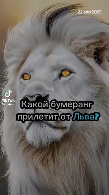 @Salamova Milena