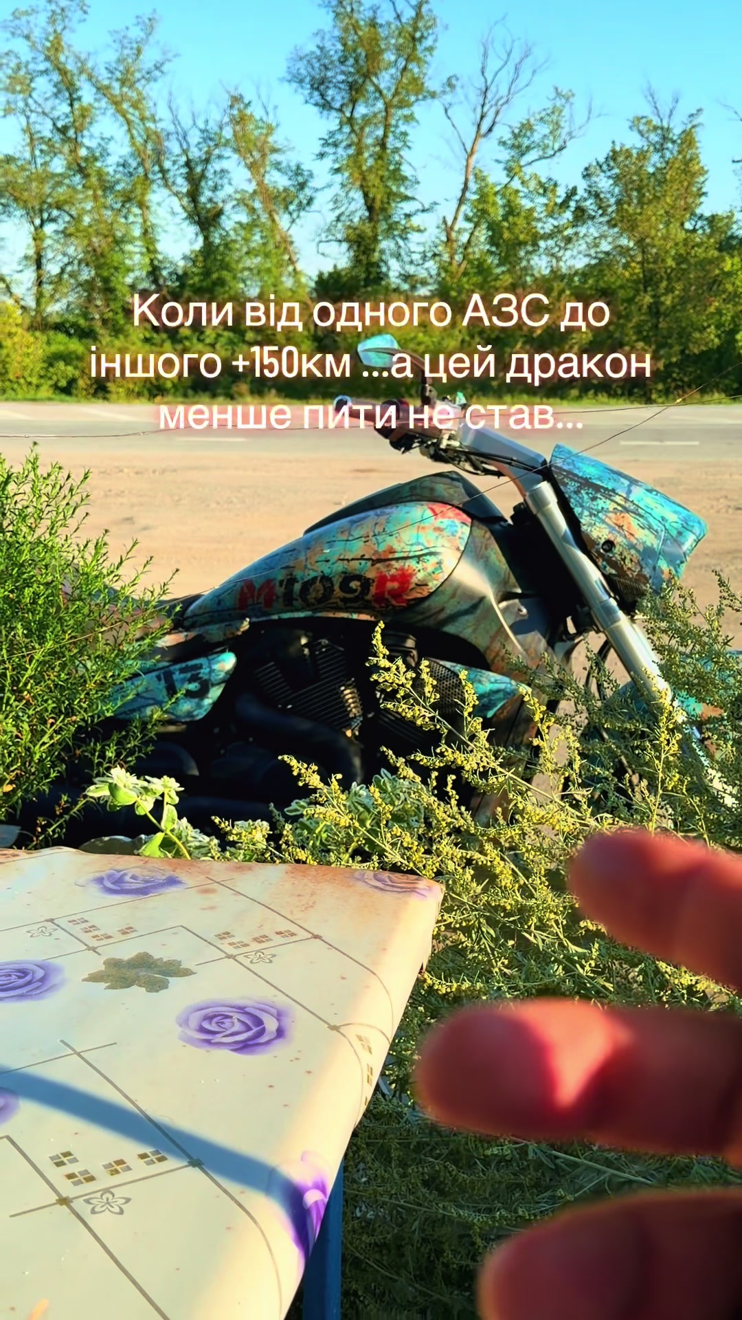 @gvvgdo