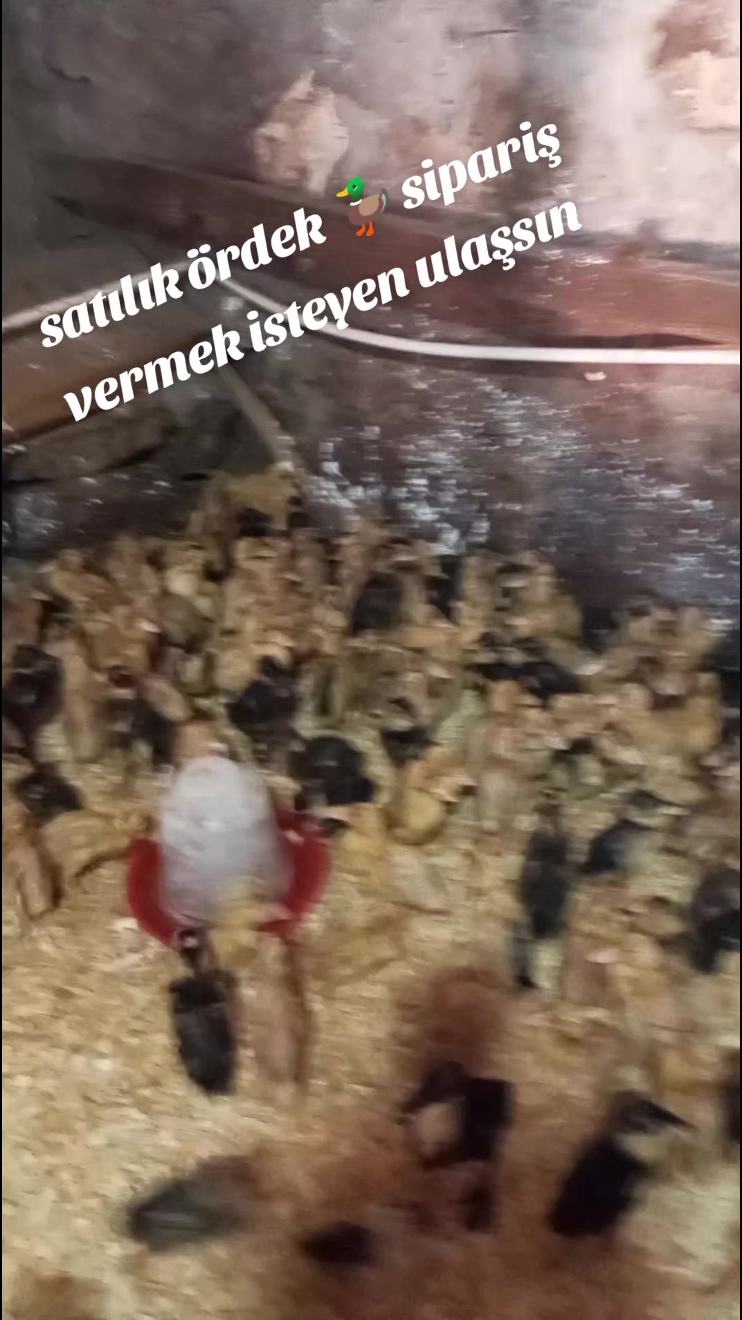 @R&Uuml;YA ❤💯