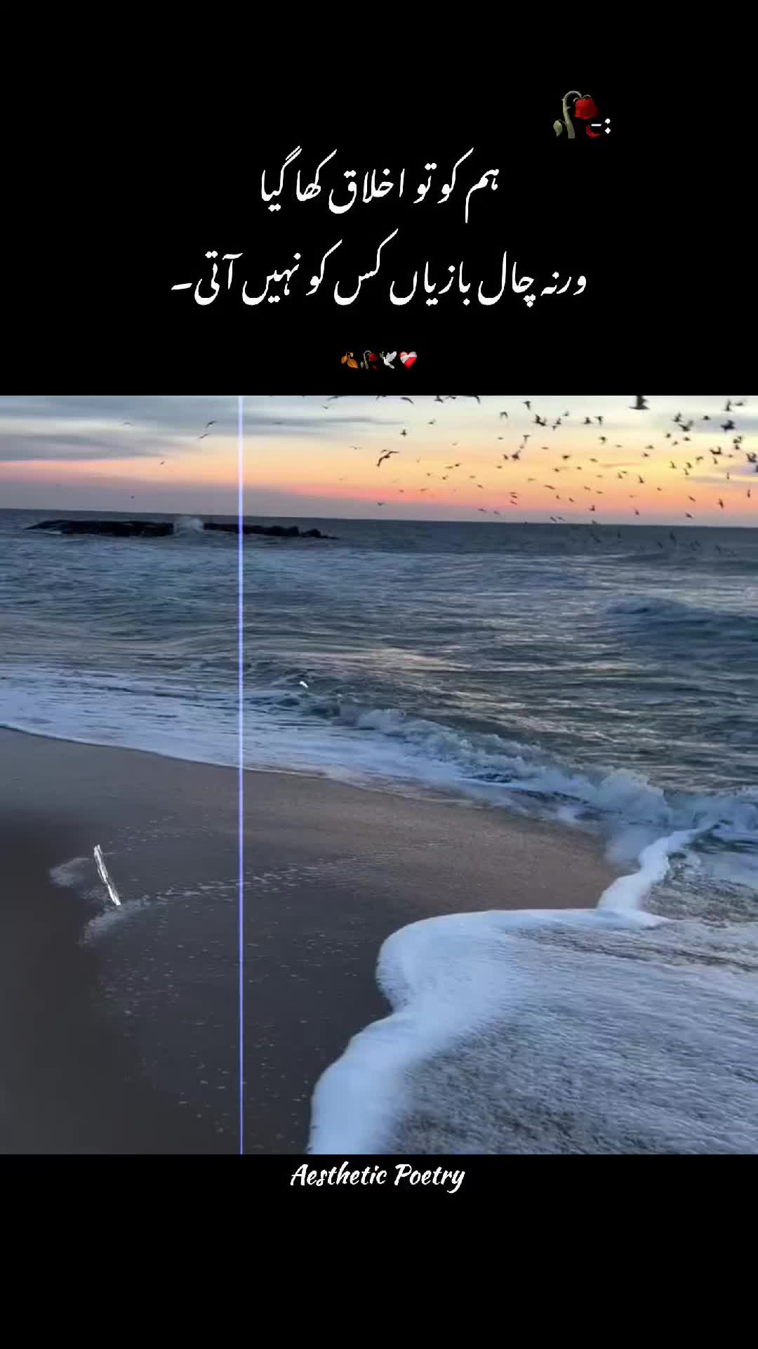 @๛⃝♥︎ ᴘᴏᴇᴛʀʏ ʜᴜʙ๛⃝♥︎