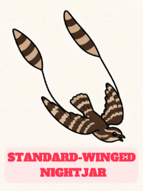 @WildlifeWonderTV Animal Facts