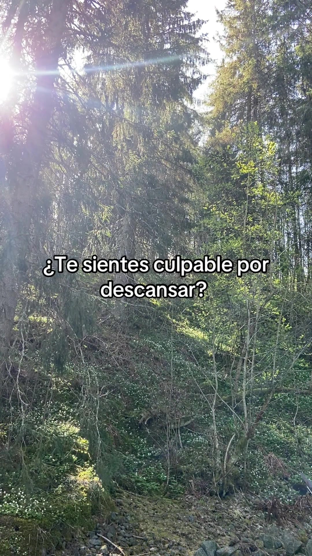 @Ana Garla