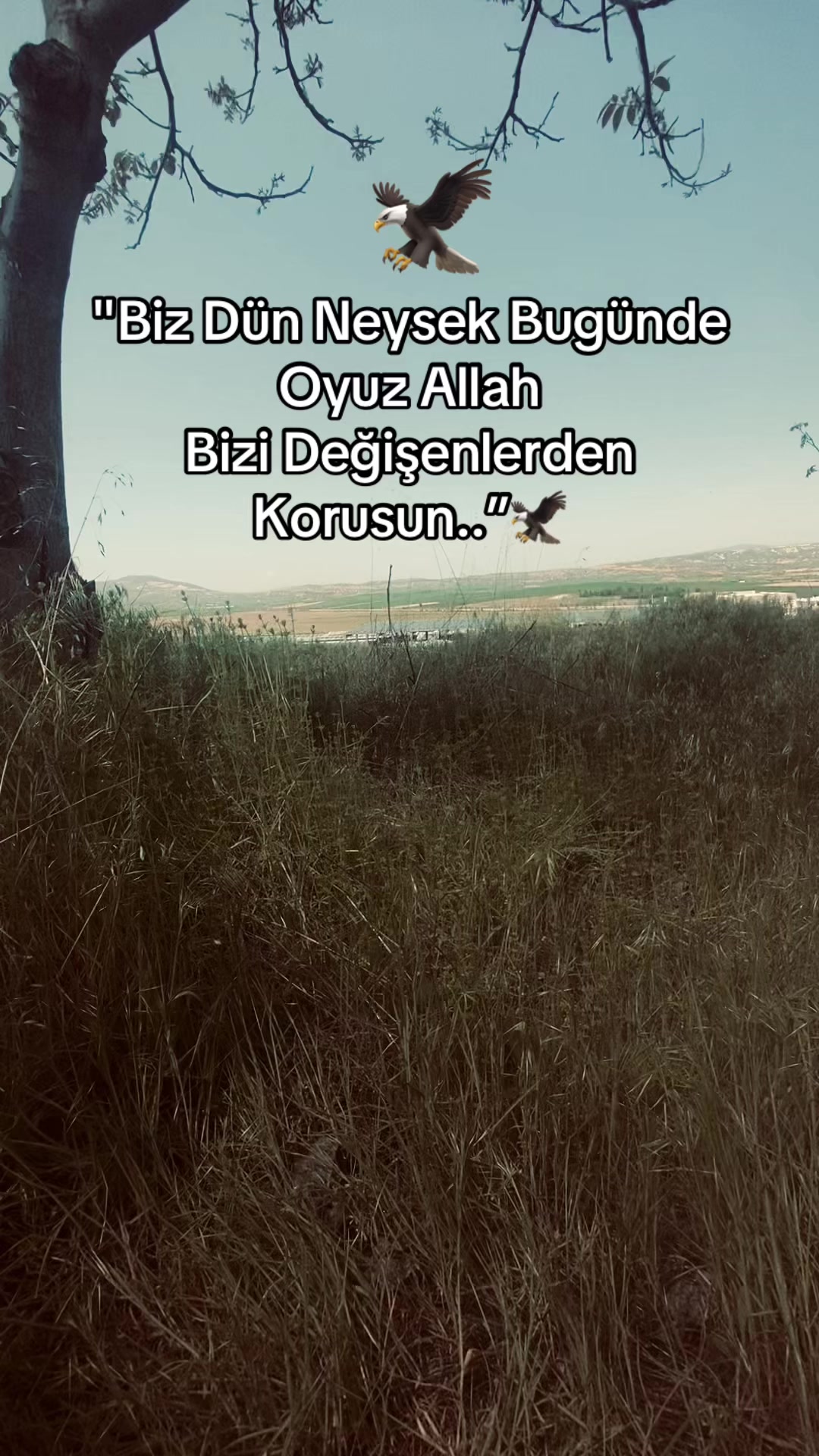 @Seziz adam😞