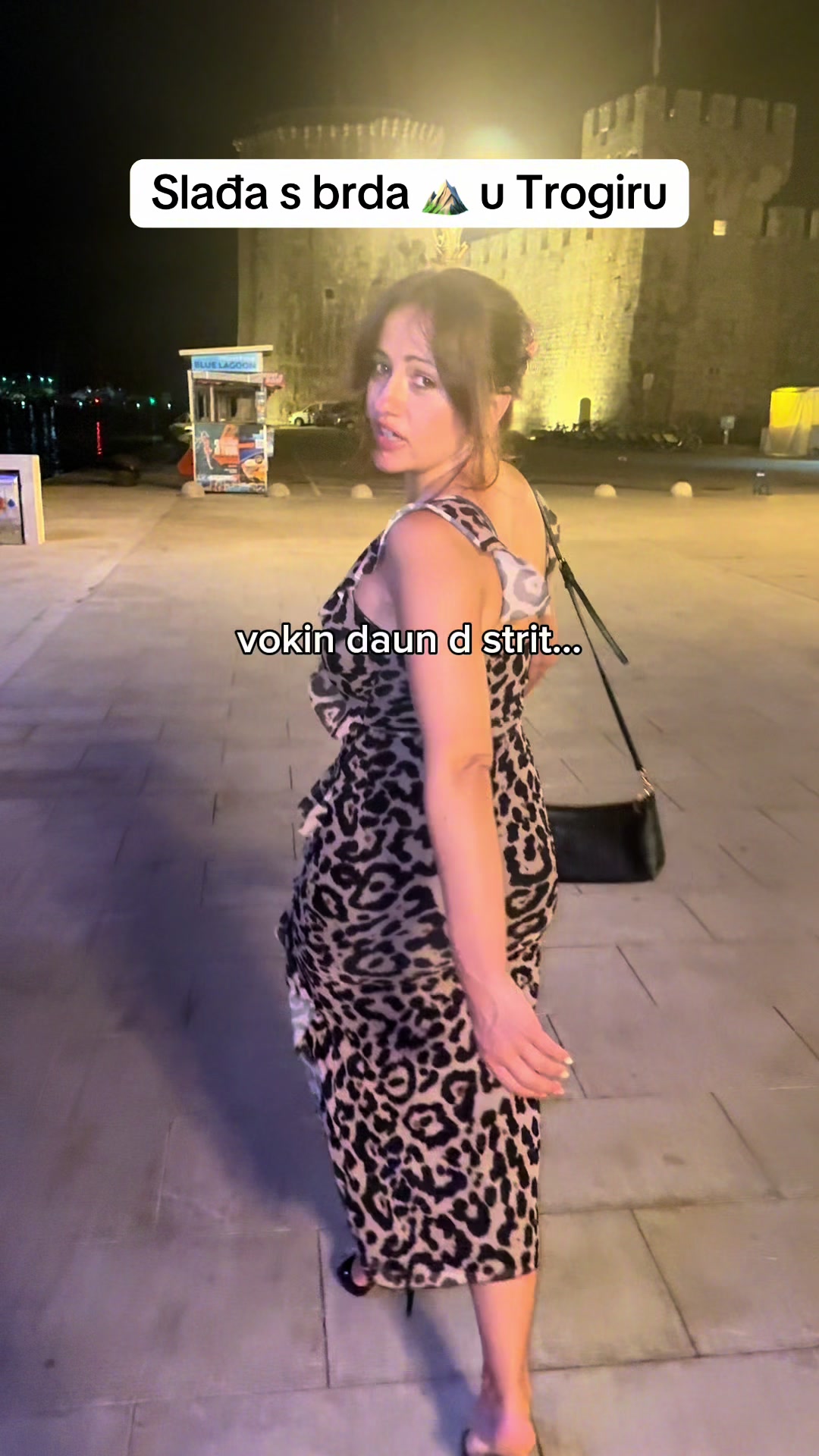 @Nina Čudić