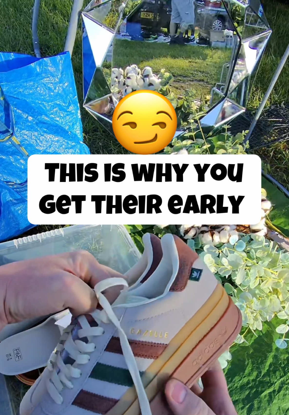 @cal_flips1