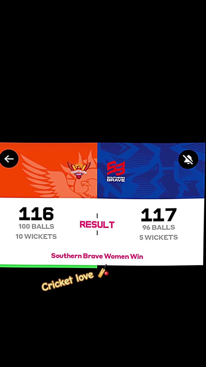 @joyofcricketgame