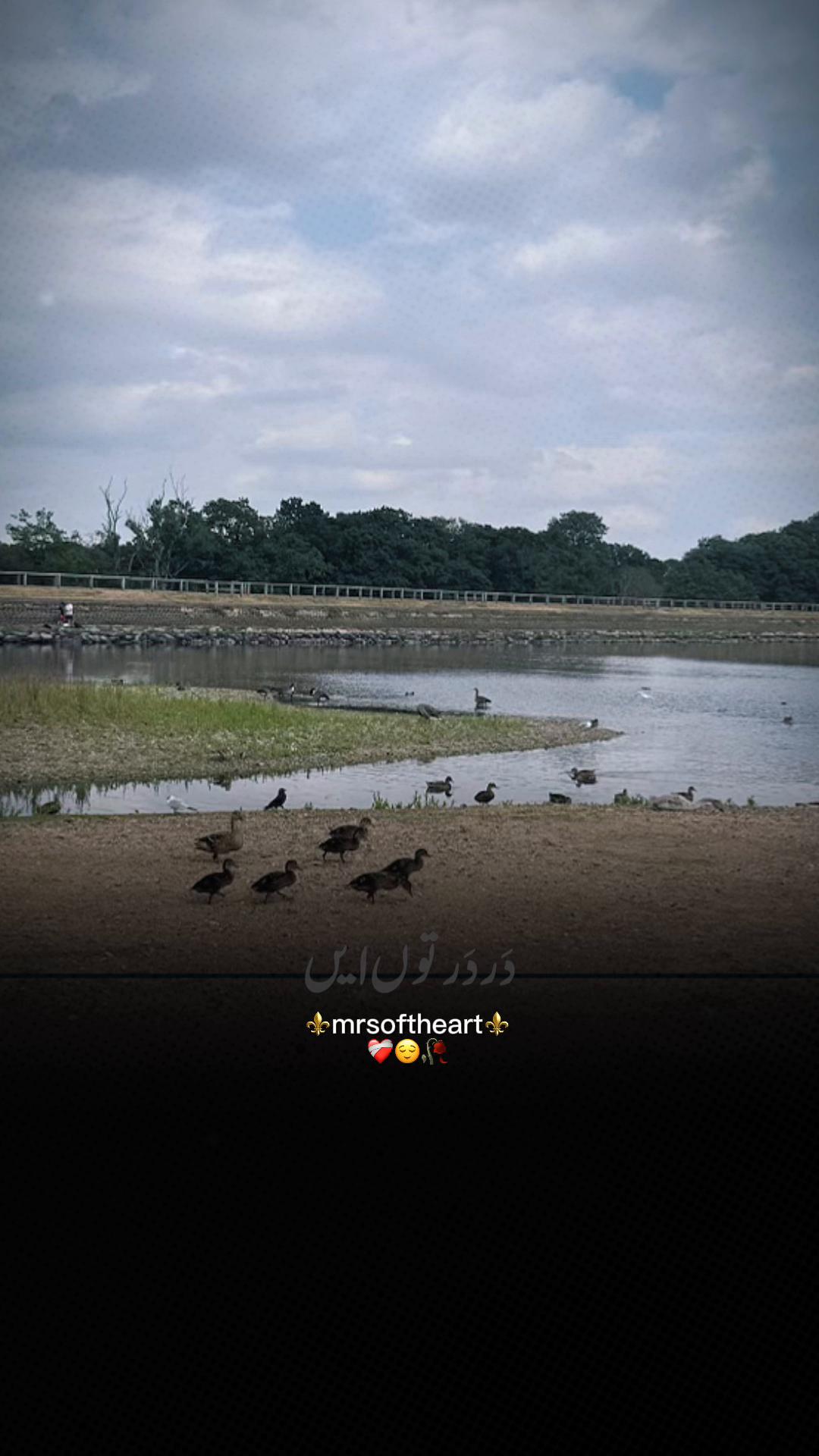 @DesiRandomShayari