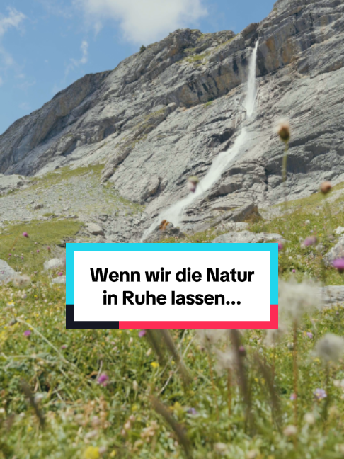 @WWF Schweiz