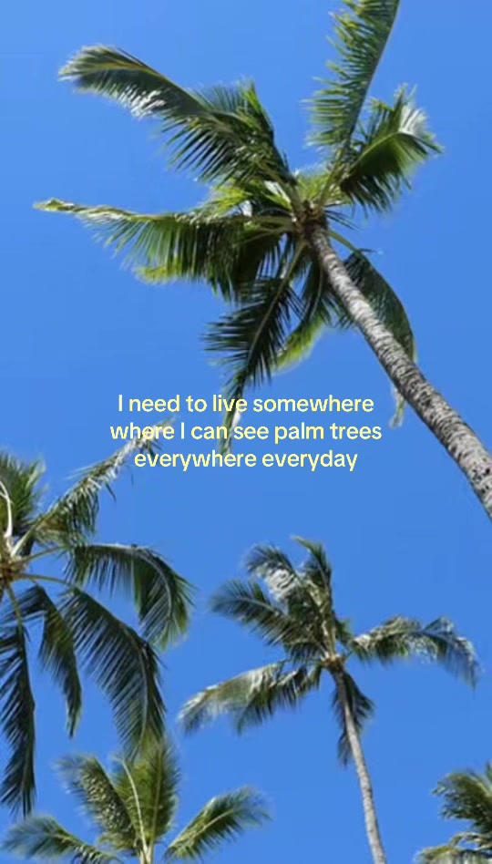 @🌊