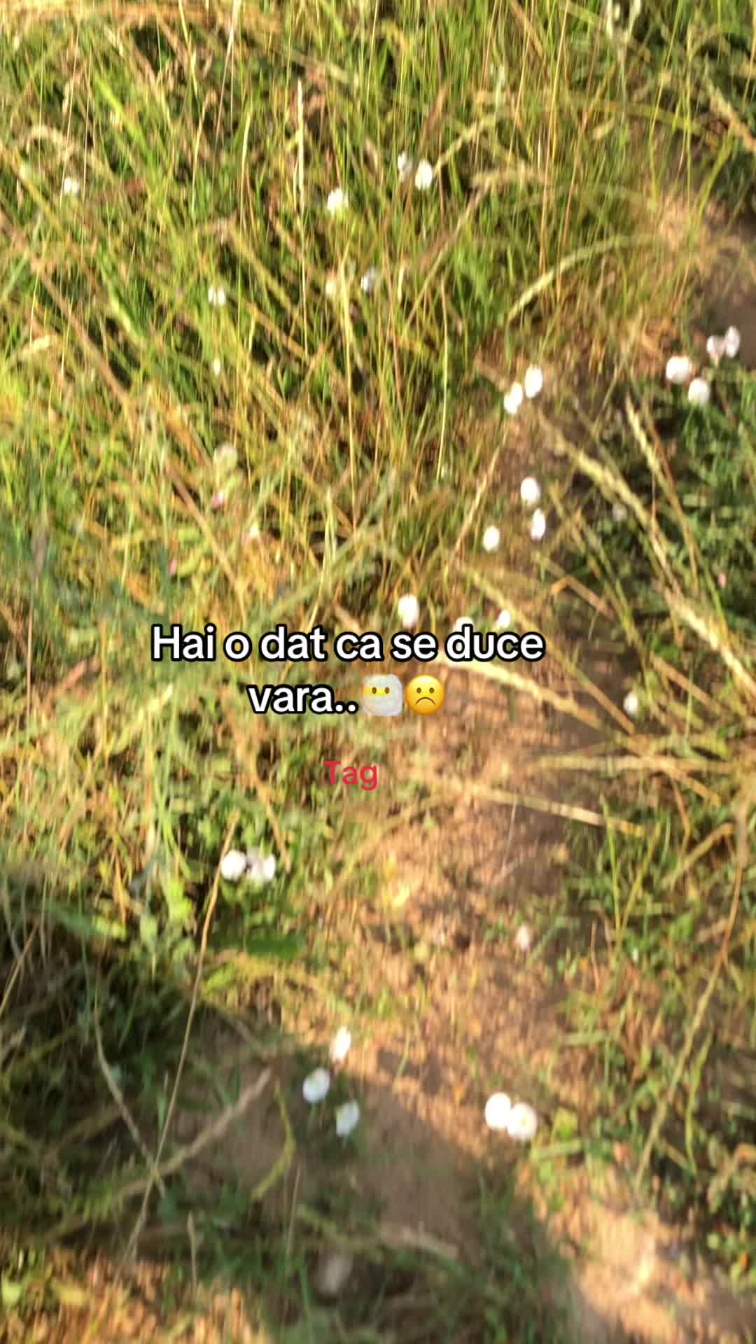 @🦅