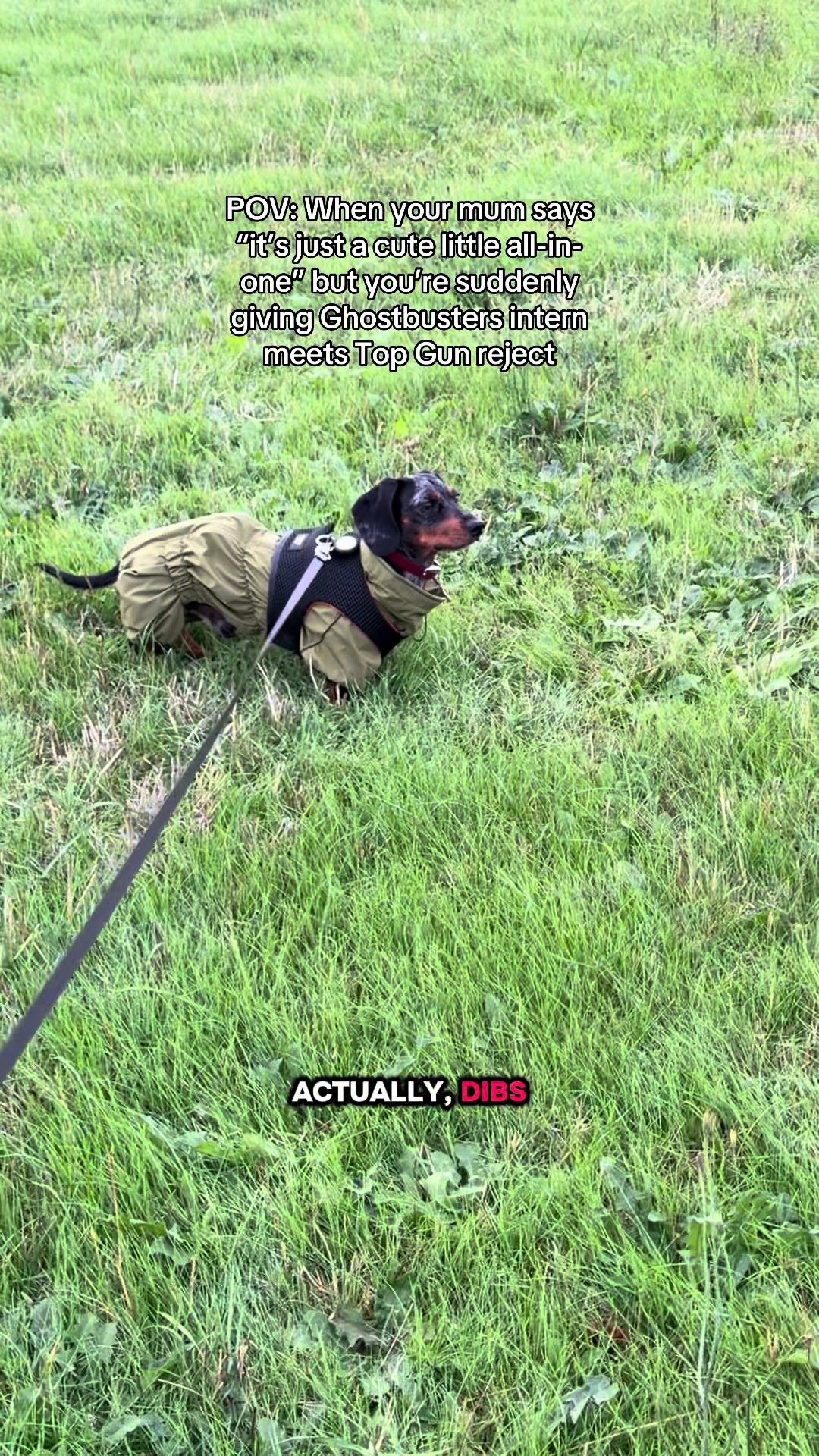 @dibblydobbly_dax