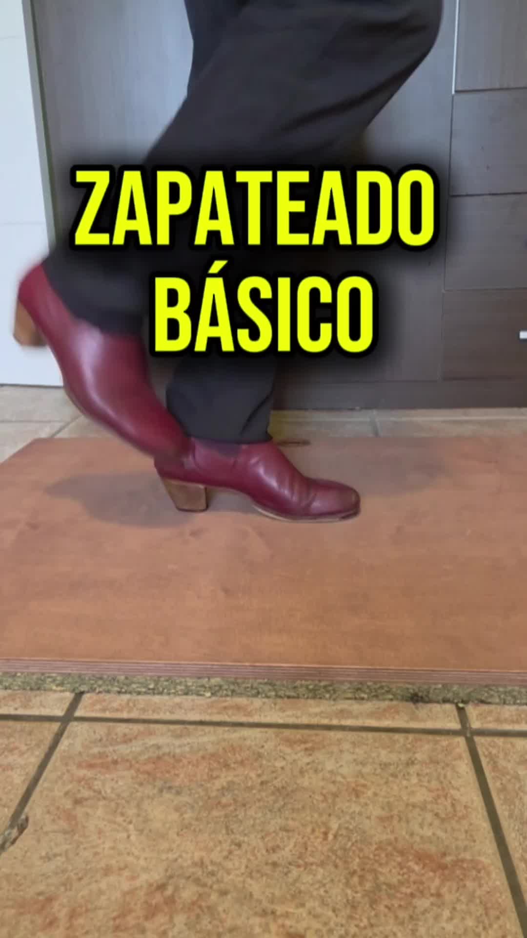 @Mario de los Santos Flamenco