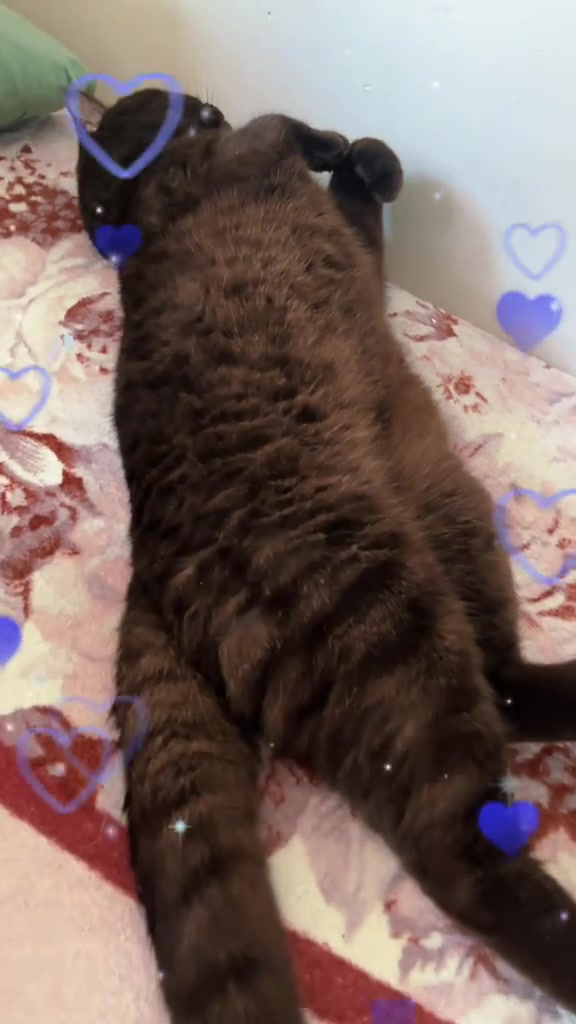 @❤️