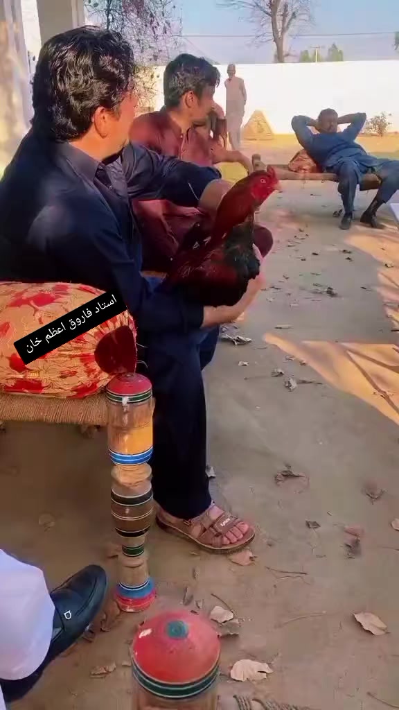 @ustadfarooqazamkhan