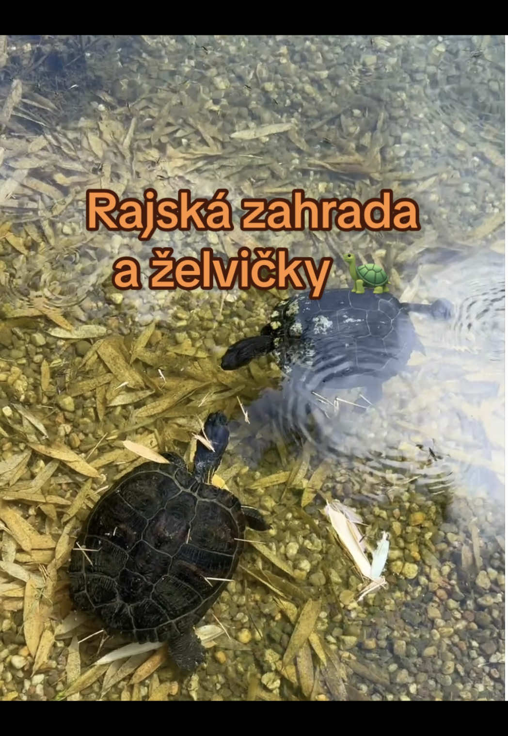 @Praha|má