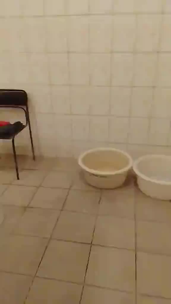 @user35713342367