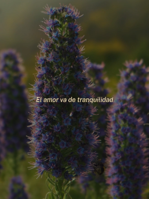 @Sanando a tu ex