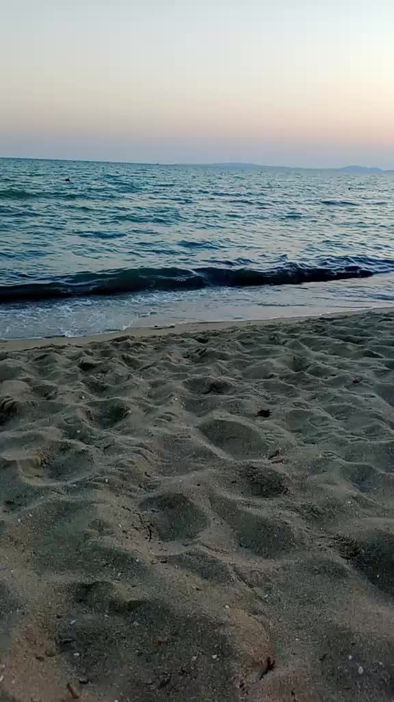 @Madalena