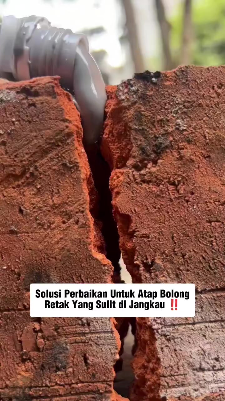 @Inspirasiperabotanunik