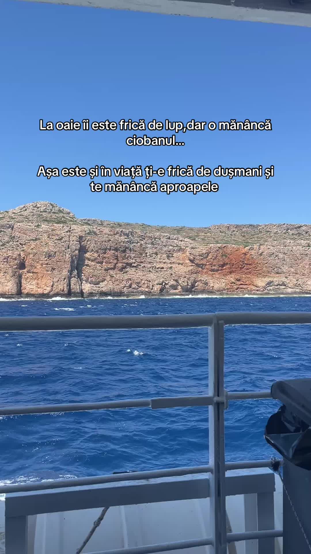 @Petruța Andrei Nicolae