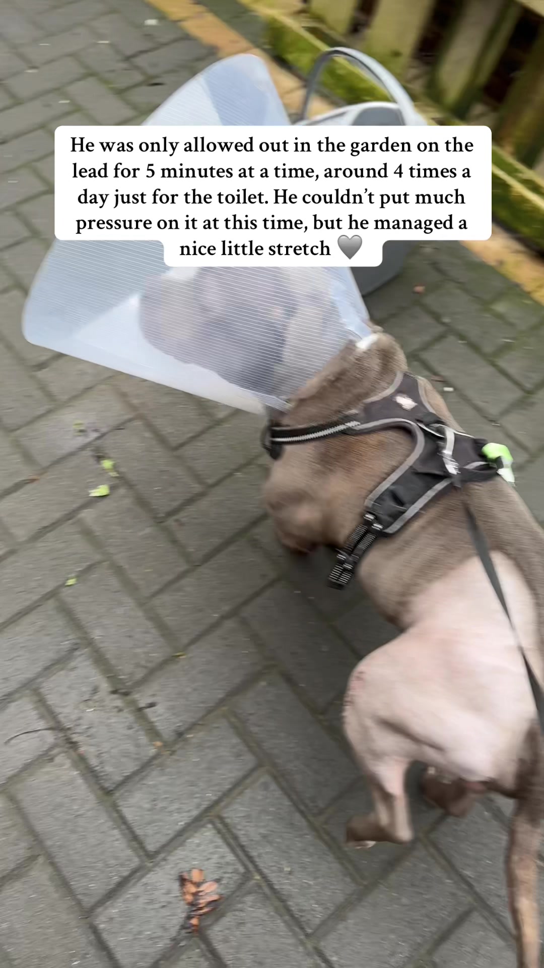 @jaegerstaffy