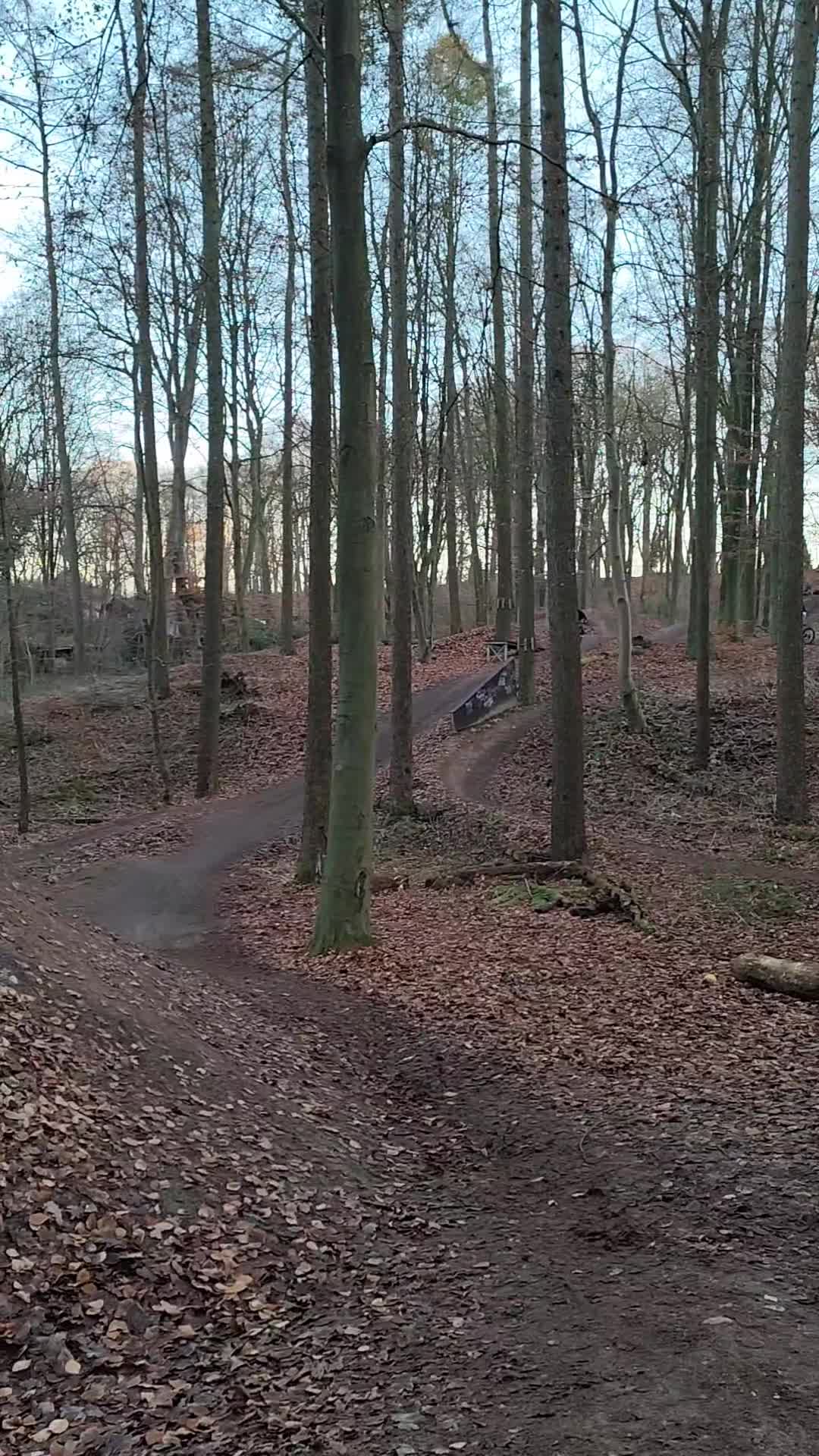 @Levi._.fr🦅🇩🇪