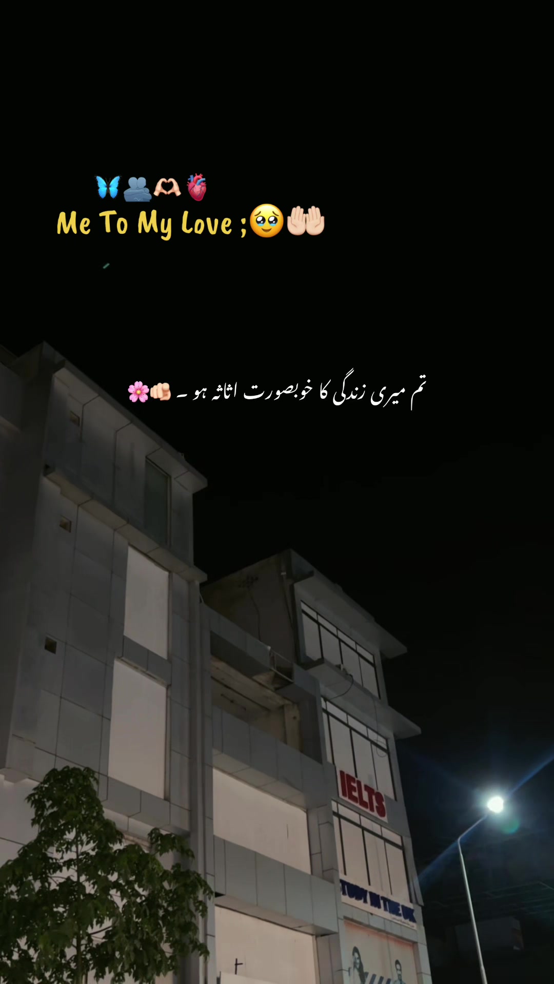 @𝘼𝙨𝙝𝙠-𝙚-𝘿𝙞𝙡 ❤️&zwj;🩹🥀