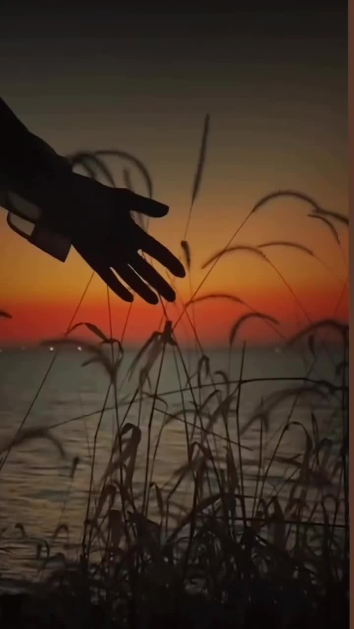 @shzadi🌹🌹