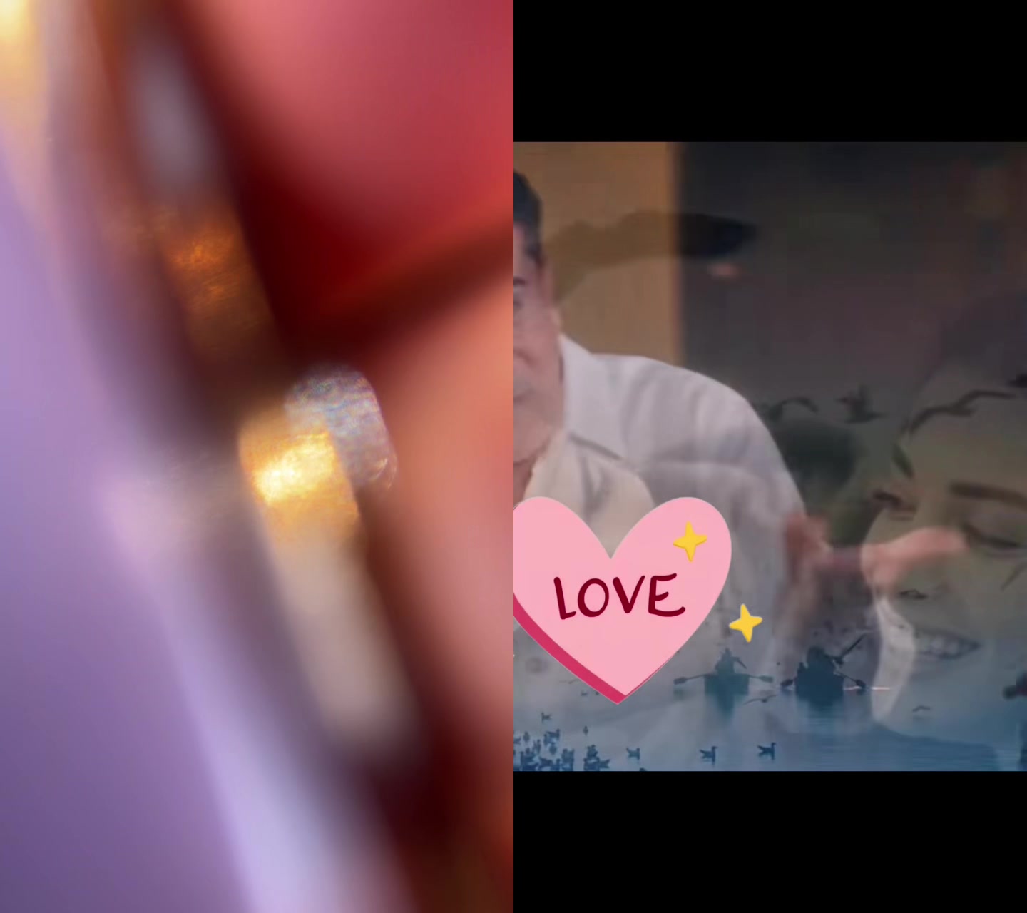 @hawleri706