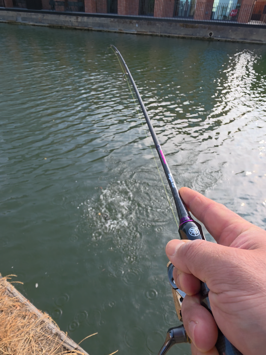 @BF Angler