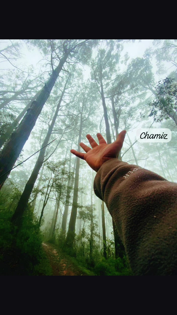 @Chamiz