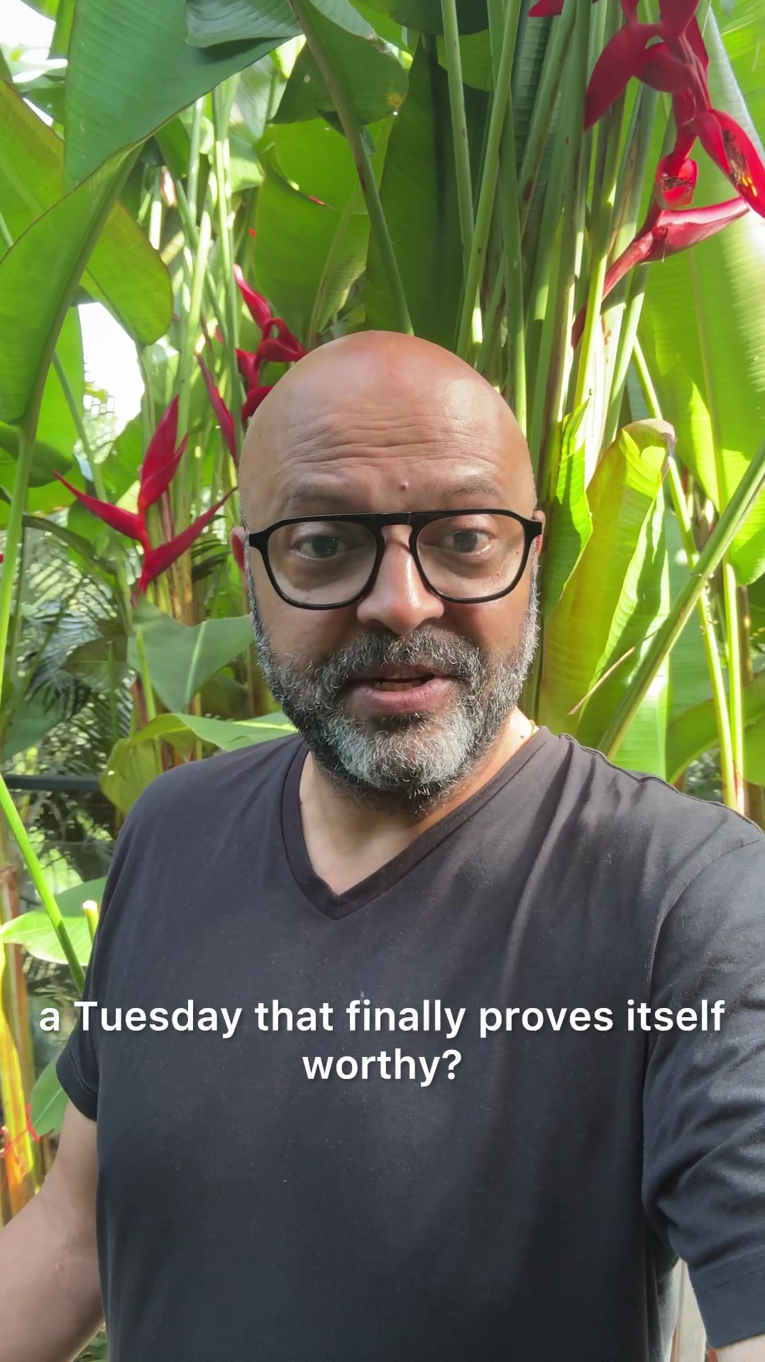 @thetravelingprofessor