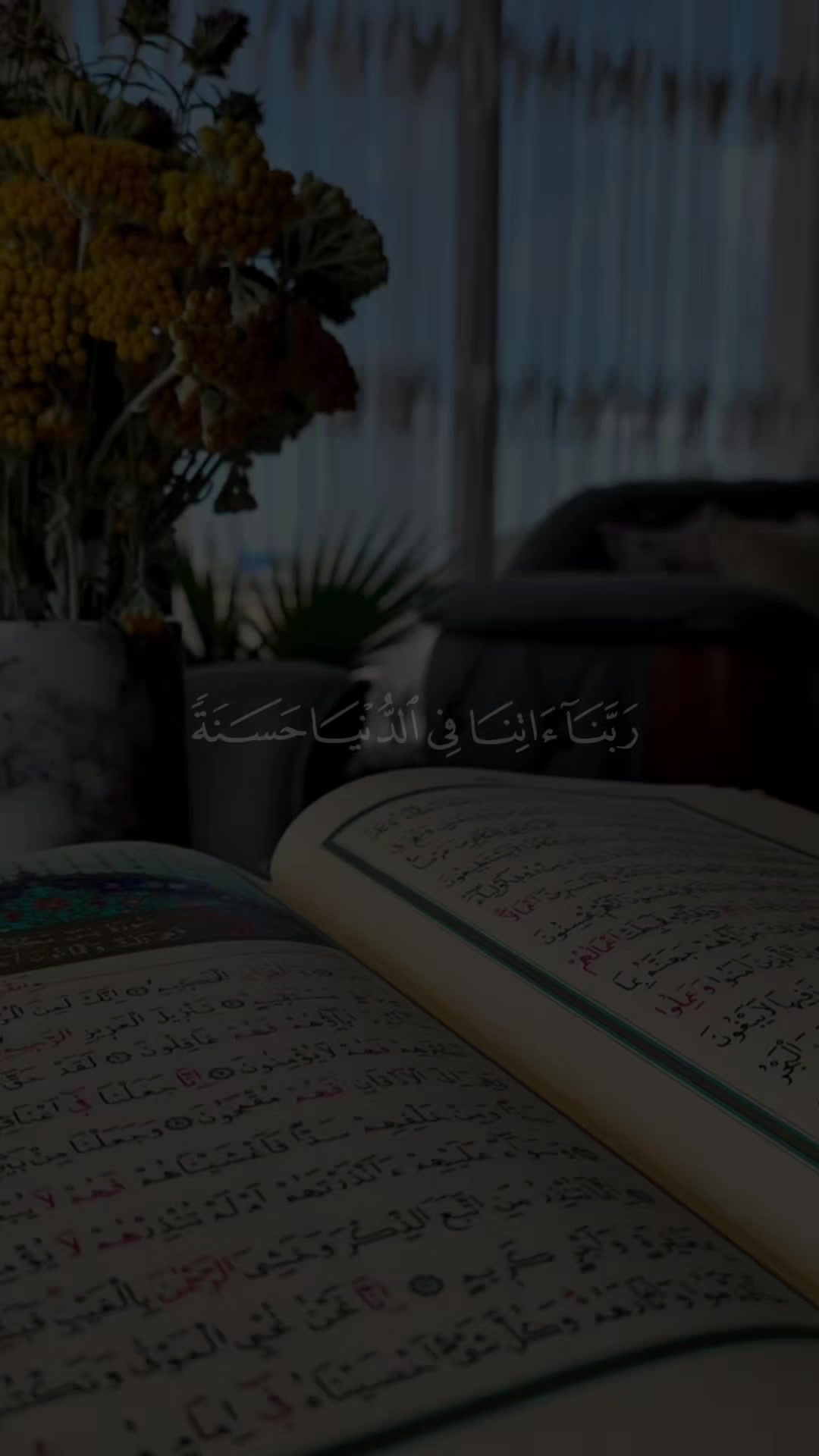 @ألا بذكر الله تطمئن القلوب 🤍