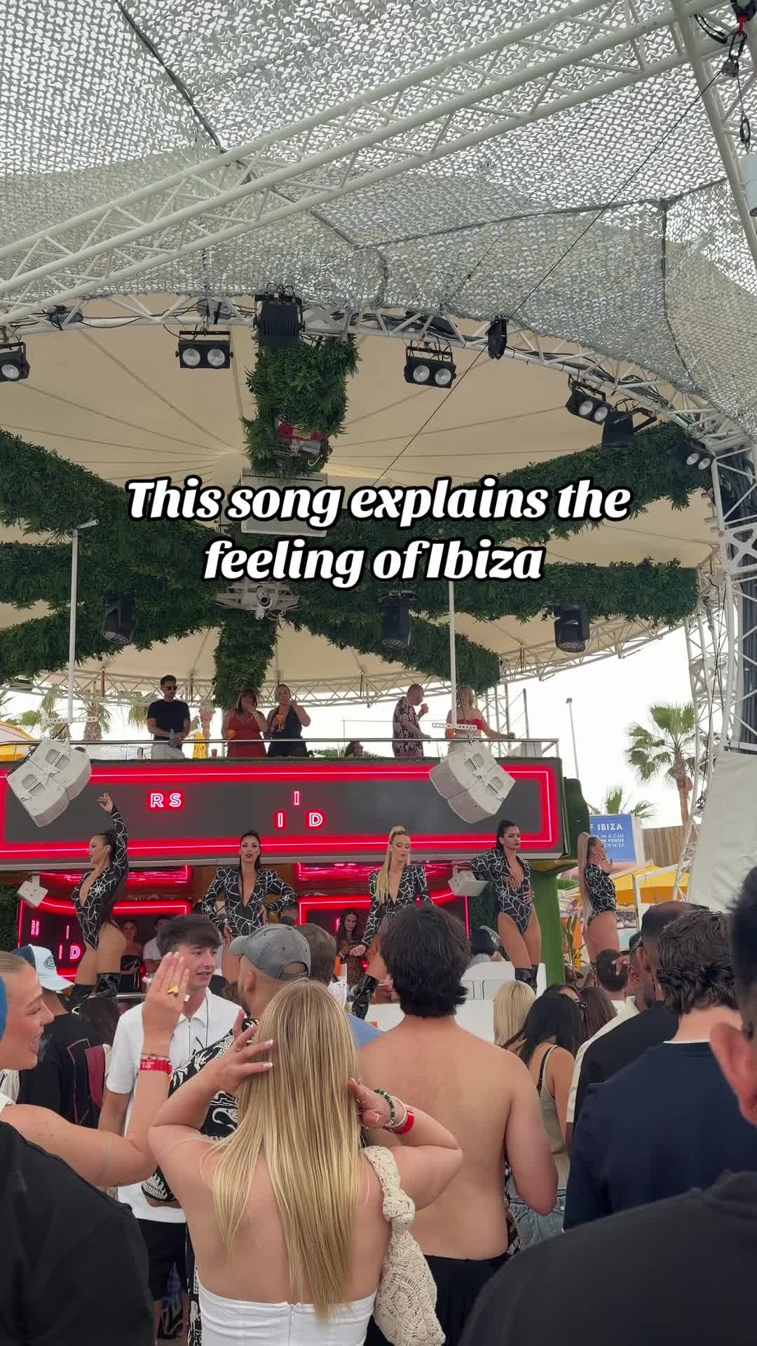 @taylorgormannn