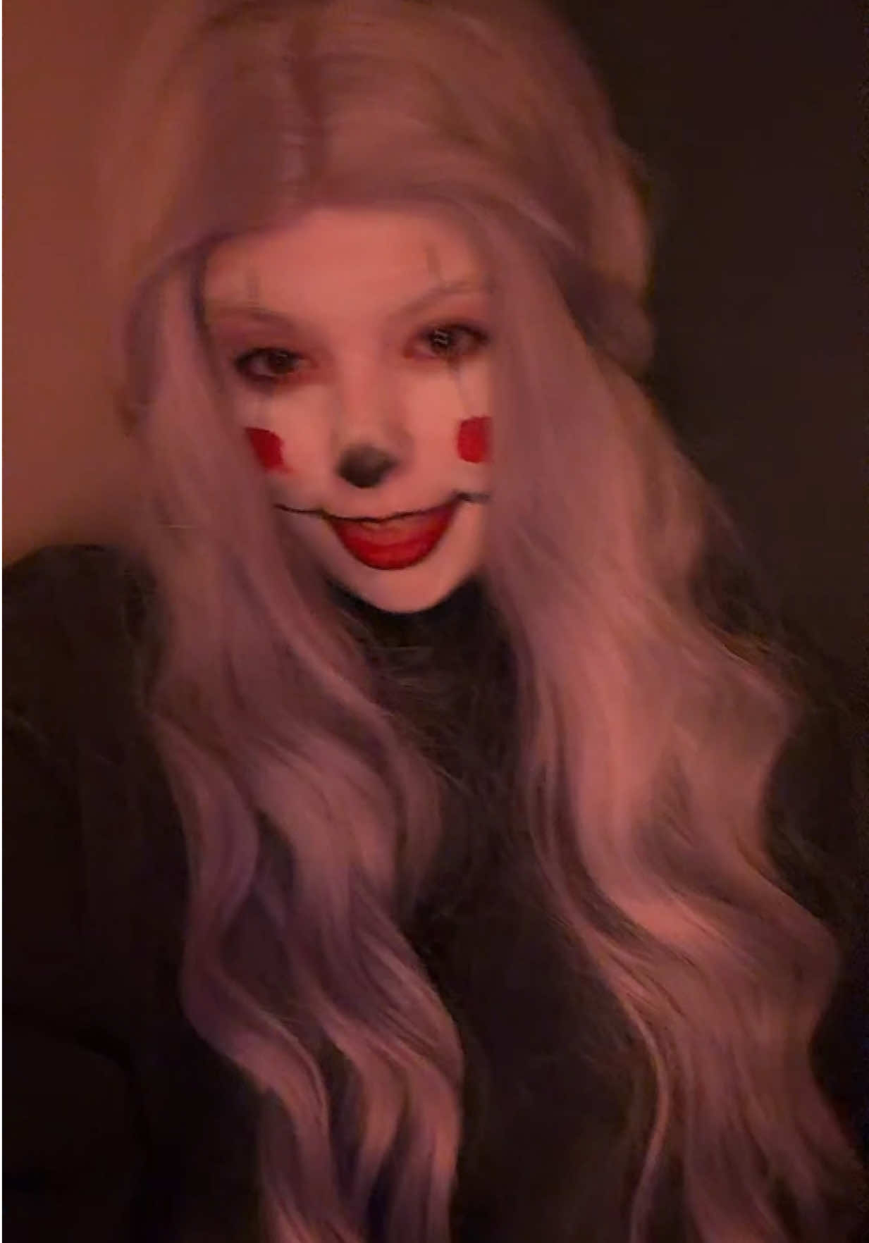 @bunny