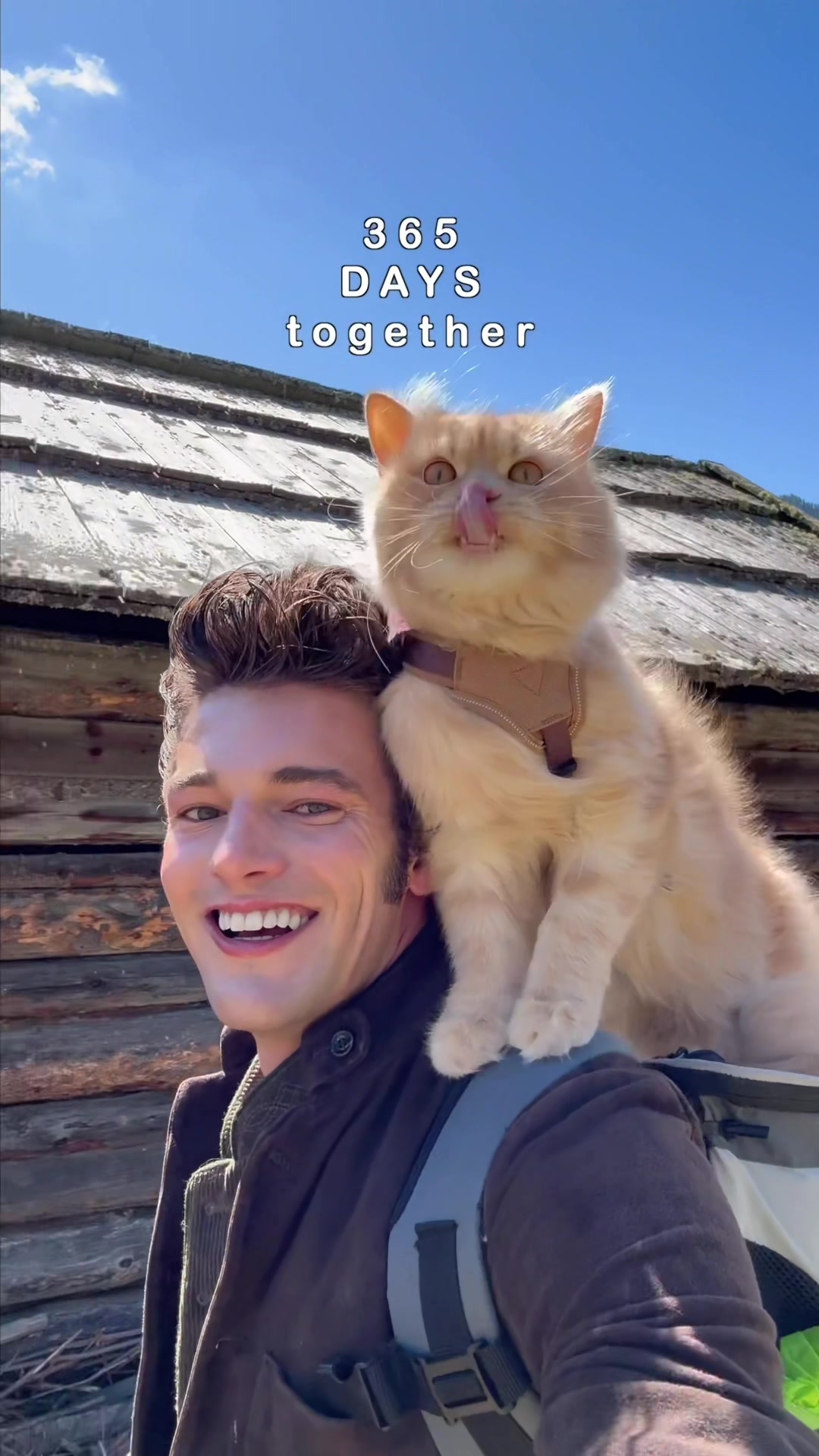 @peter_mai_