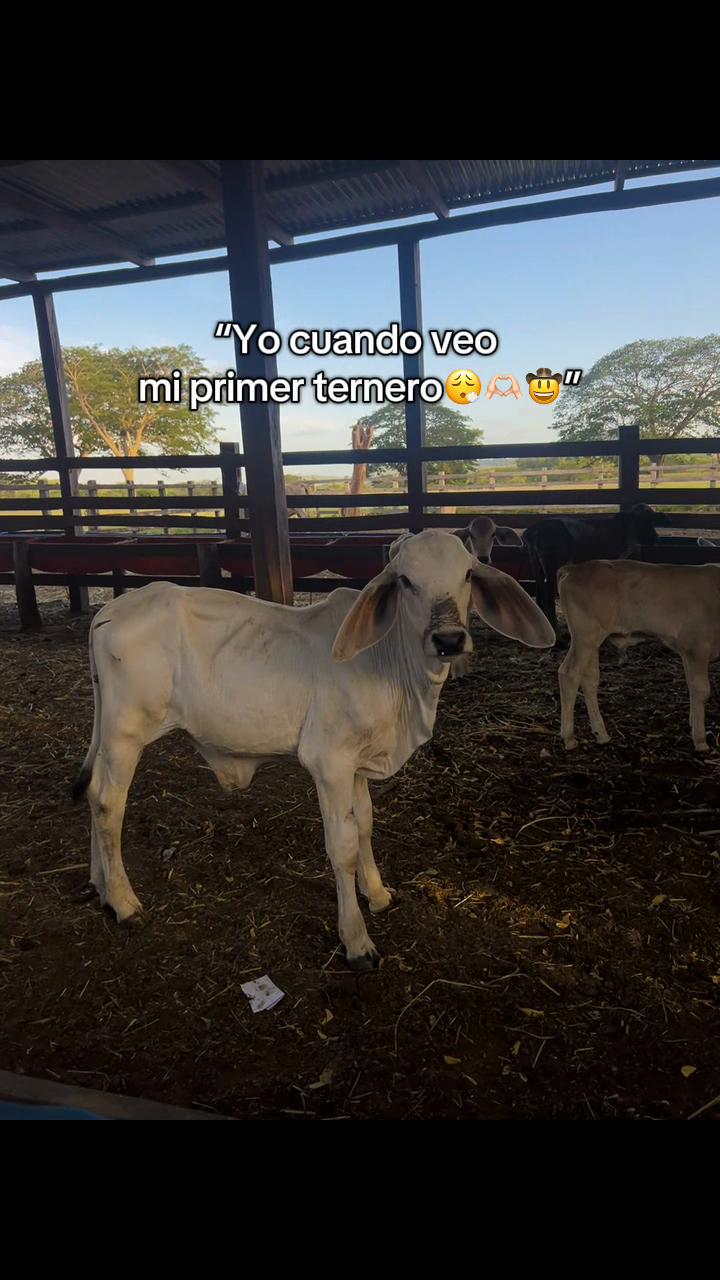 @Liss! 🤠