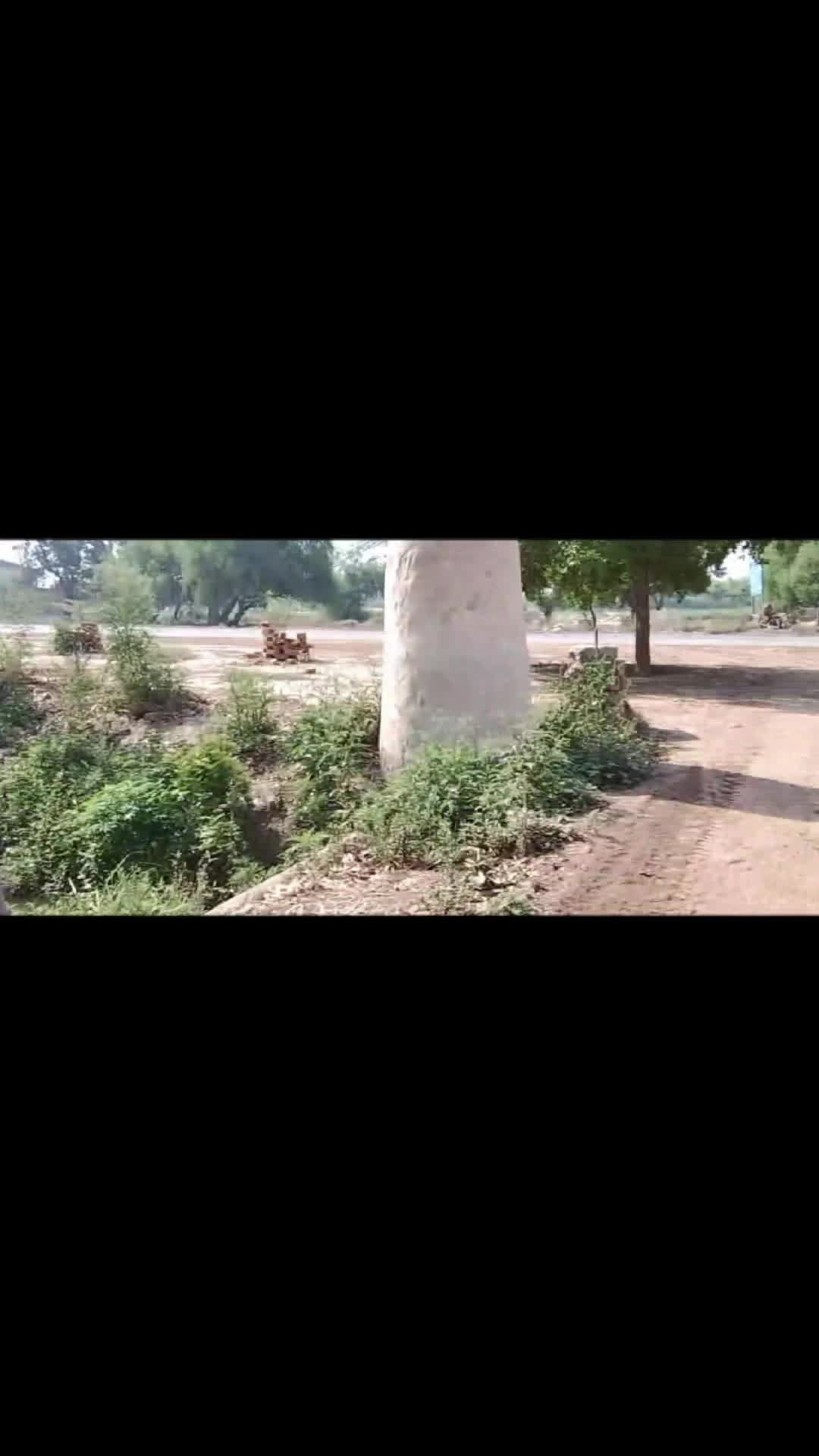 @shahidali_5911