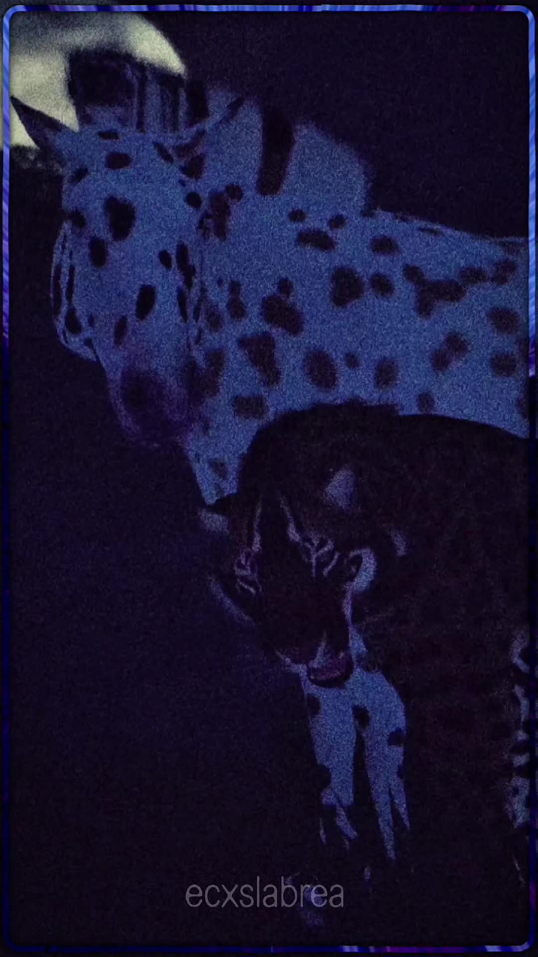 @ʟᴜᴅᴡɪɢ