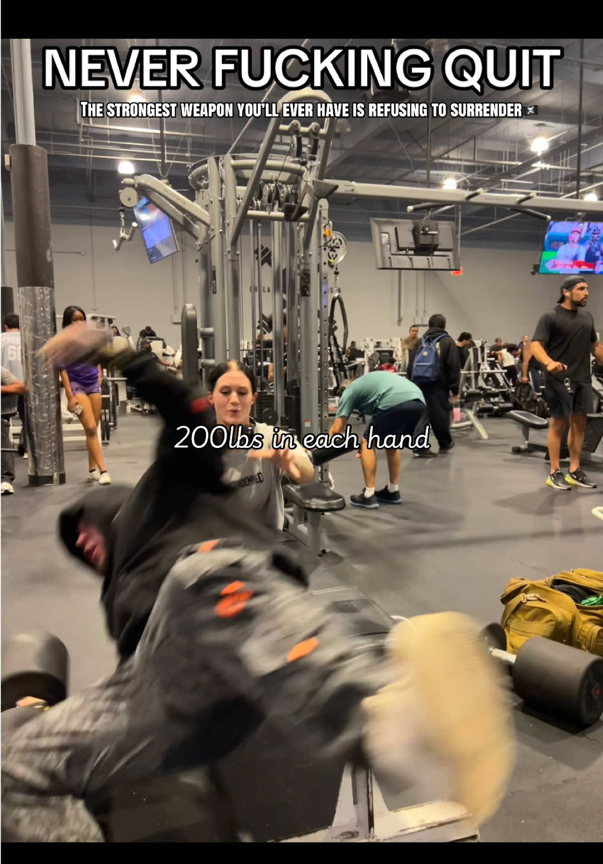 @GORILLA QUINN 🦍🇺🇸