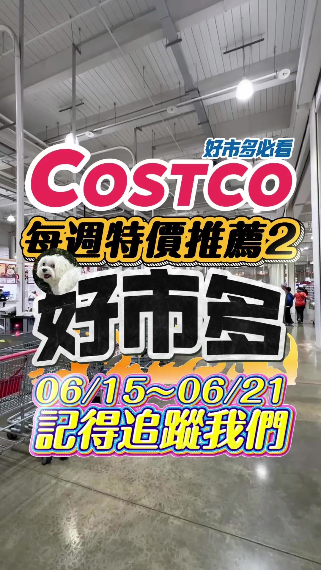 @Youtube搜尋🔍可可酒精