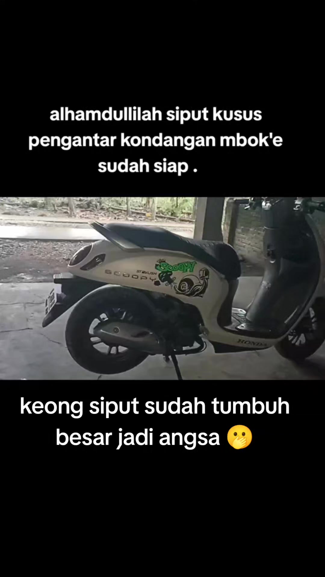 @NR_1