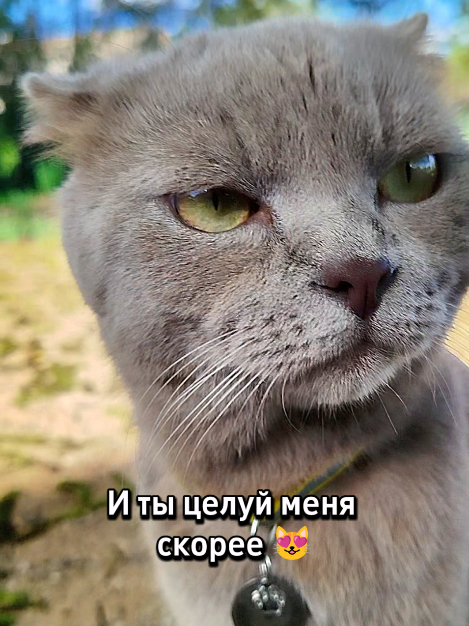 @🐈Масик&Андрей🥰